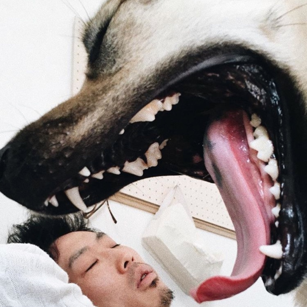 Meet your Posher, Andres